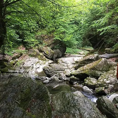 Apartment Raabklamm
